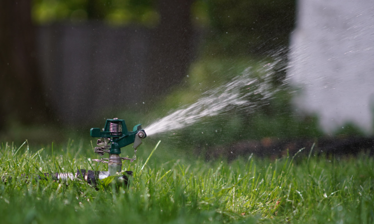 Essential Lawn Care Tips for a Thriving Yard in Phoenix